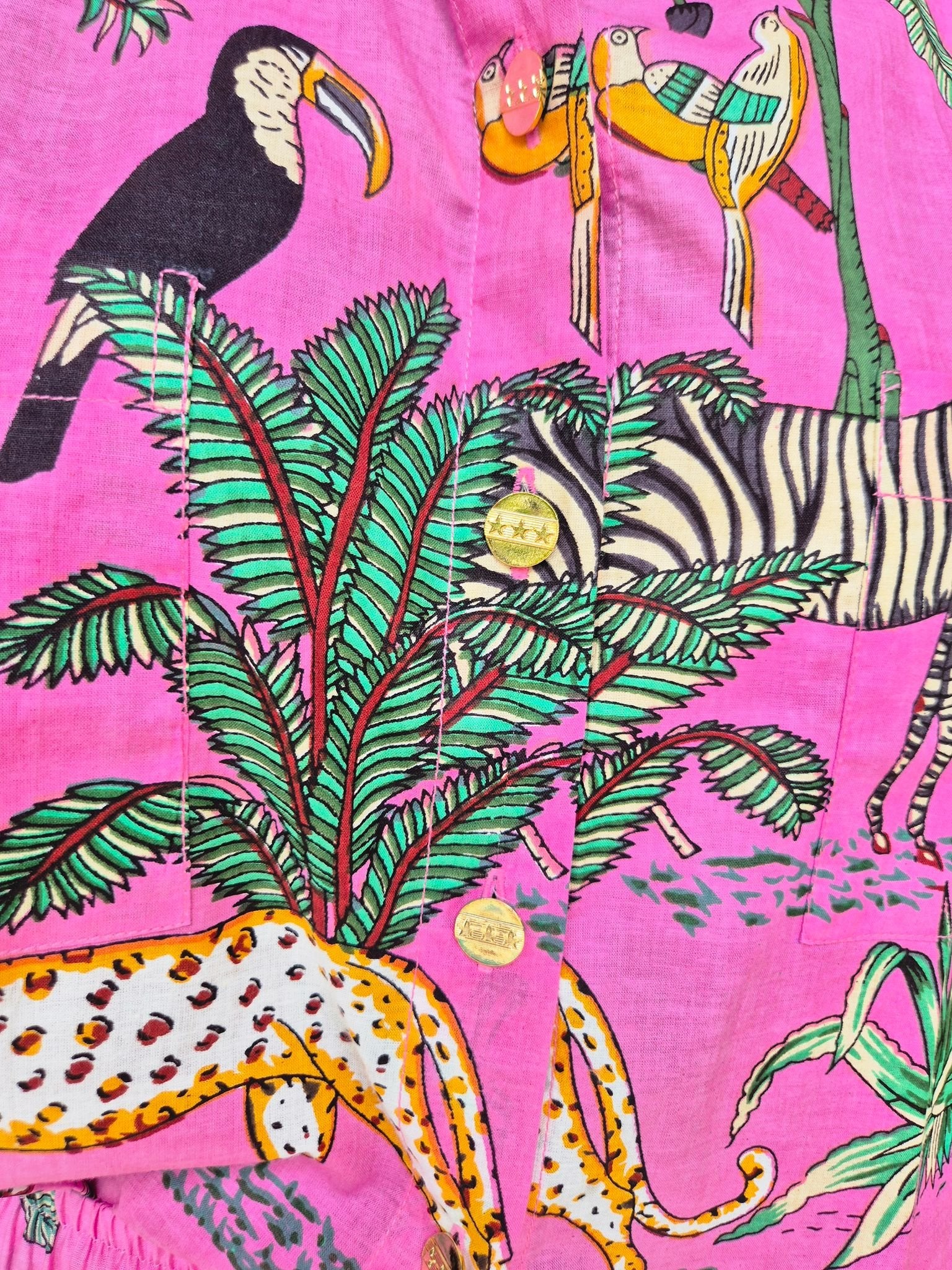 LOLA SAFARI