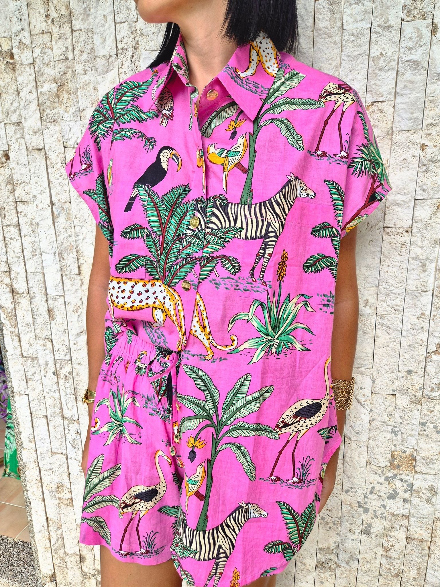 LOLA SAFARI